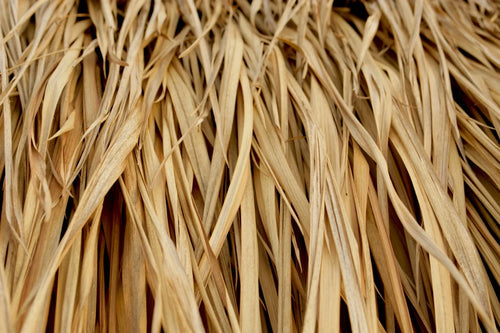 SMOOKY VETIVER
